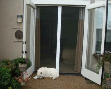 TALL WHITE FRENCH ROLL-AWAY SCREEN DOORS FOR OUTSWINGING DOORS WITH BLINDS