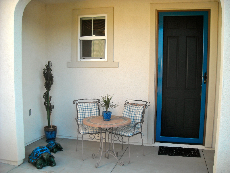 AZURE BLUE CUSTOM COLOR TRU-VIEW SECURITY SCREEN DOOR