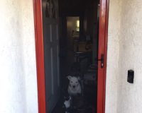 SURFACE MOUNT TERRA COTTA TRU-VIEW SECURITY SCREEN DOOR