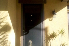 BRONZE TRU-VIEW SECURITY SCREEN DOOR