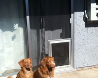 SATIN PET DOOR ON SATIN SLIDER WITH PET MESH